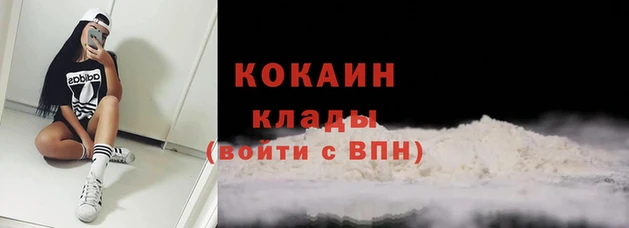 тгк Покров