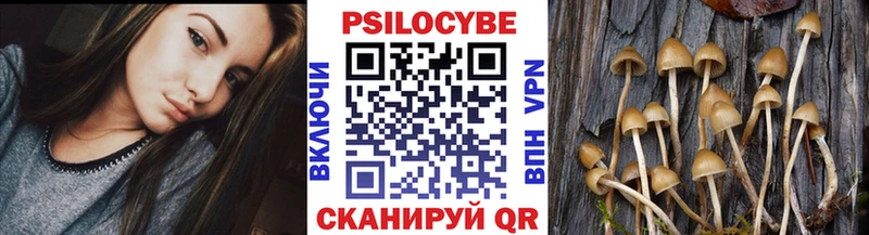 Псилоцибиновые грибы GOLDEN TEACHER  маркетплейс официальный сайт  Морозовск  наркошоп 